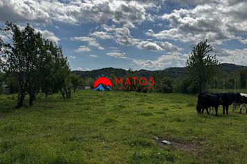 Teren Intravilan de vanzare BREBU - Prahova anunturi imobiliare Prahova
