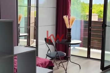 Garsonieră de inchiriat IASI - Iasi anunturi imobiliare Iasi