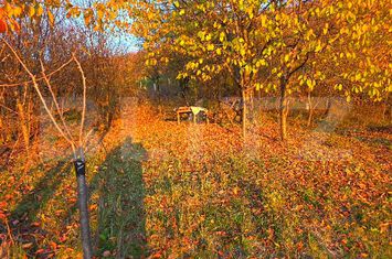 Teren de vanzare TARGOVISTE - Dambovita anunturi imobiliare Dambovita