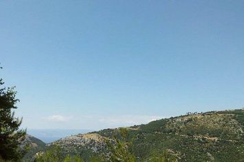 Teren construibil 2.500 mp în Mikros Prinos anunturi imobiliare Grecia