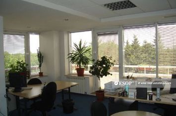 Birou de vanzare PRIMAVERII - Bucuresti anunturi imobiliare Bucuresti