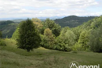 Teren Intravilan de vanzare TELEGA - Prahova anunturi imobiliare Prahova
