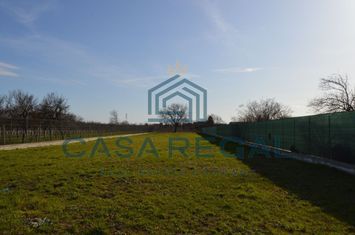 Teren 2992 mp împrejmuit, central, Biharia, lângă Profi, utilități anunturi imobiliare Bihor