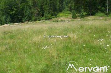 Teren Intravilan de vanzare AZUGA - Prahova anunturi imobiliare Prahova