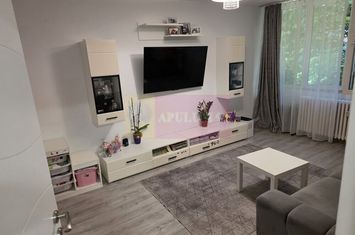 Apartament 2 camere anunturi imobiliare Bucuresti