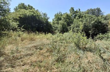 Teren de vanzare PODGORIA - Bihor anunturi imobiliare Bihor