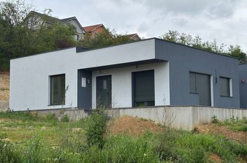 Casă - 4 camere de vanzare PALEU - Bihor anunturi imobiliare Bihor