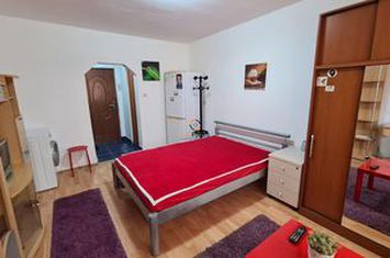 Garsonieră de vanzare BLASCOVICI - Timis anunturi imobiliare Timis