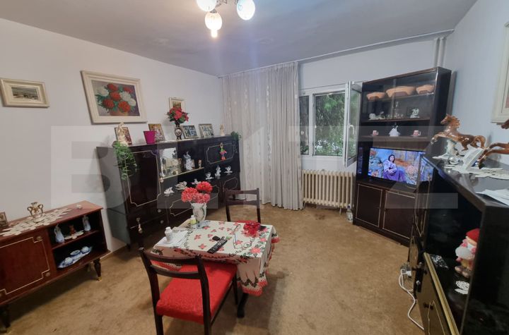 Garsonieră de vanzare FRUMOASA - Iasi anunturi imobiliare Iasi