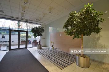 Birou de inchiriat VACARESTI - Bucuresti anunturi imobiliare Bucuresti