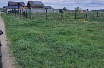 Teren de vanzare HARMAN - Brasov anunturi imobiliare Brasov