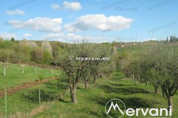 Teren Intravilan de vanzare VOILA - Prahova anunturi imobiliare Prahova