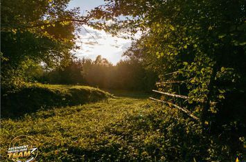 Teren Extravilan de vanzare OJDULA - Covasna anunturi imobiliare Covasna