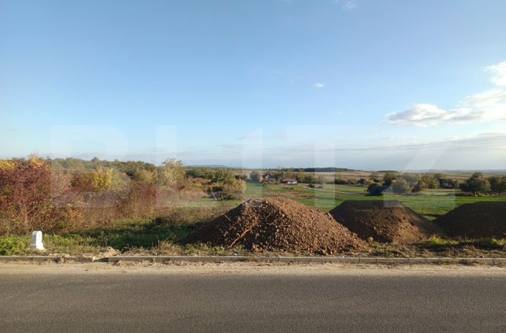 Teren de vanzare ARDUD - Satu Mare anunturi imobiliare Satu Mare