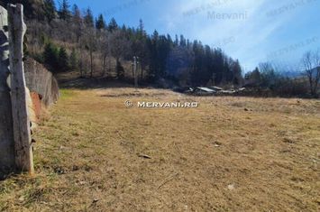 Teren de vânzare în Sinaia anunturi imobiliare Prahova