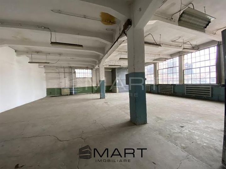 Spațiu industrial de inchiriat CISNADIE - Sibiu anunturi imobiliare Sibiu