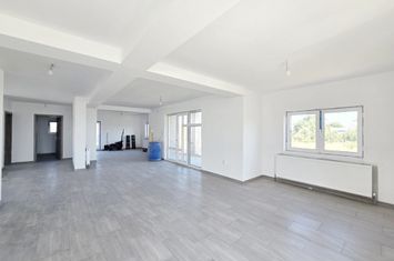 INCHIRIERE VILA P+1 - 245 MP. UTILI- TEREN 1476 MP. - GAESTI anunturi imobiliare Dambovita