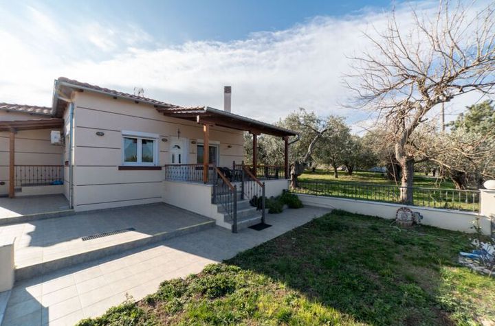 Casă individuală 135,25 mp în Skala Sotiros, 170 metri de mare anunturi imobiliare Grecia