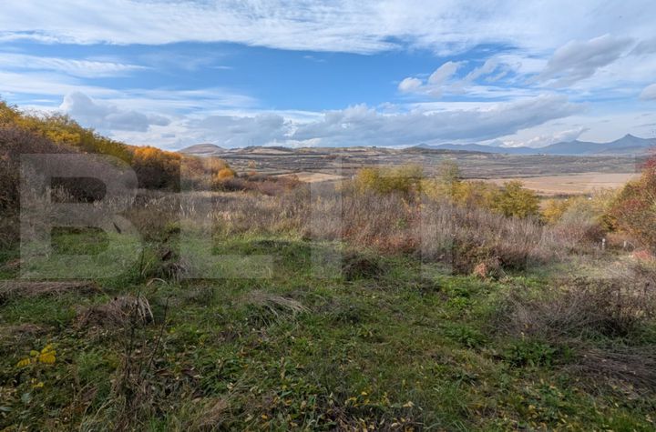 Teren de vanzare SARD - Alba anunturi imobiliare Alba