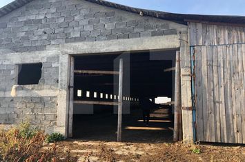 Spațiu industrial de vanzare ARACI - Covasna anunturi imobiliare Covasna