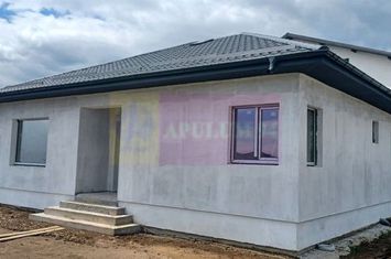 Săbăreni, casă nouă parter 137 mp, curte 400 mp anunturi imobiliare Giurgiu