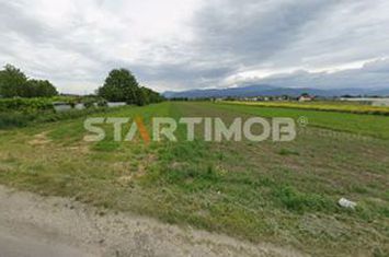 Teren intravilan cu PUZ str Albinelor Stupini anunturi imobiliare Brasov