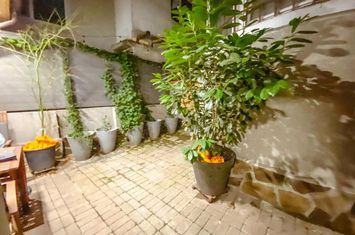 Inchiriere garsoniera imobil independent 30mp foisor curte Cotroceni anunturi imobiliare Bucuresti