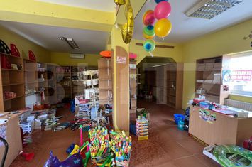Casă - 3 camere de vanzare SATU MARE - Satu Mare anunturi imobiliare Satu Mare