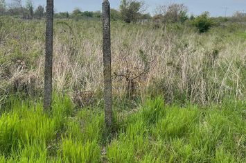 TEREN INTRAVILAN-530 MP-APUSULUI(SCOLII-VIILOR) anunturi imobiliare Bucuresti