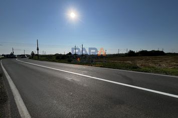 Teren între Cordun și E85 anunturi imobiliare Neamt