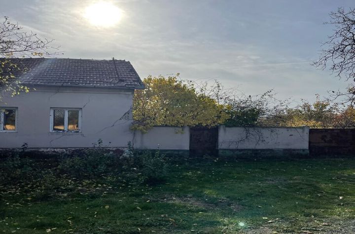 Casă - 4 camere de vanzare SAGU - Arad anunturi imobiliare Arad