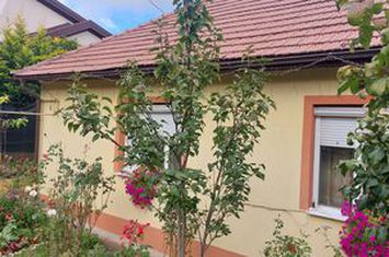 0 Comision ! Casa de vanzare 435 mp teren, strada Zaharia Barsan anunturi imobiliare Cluj
