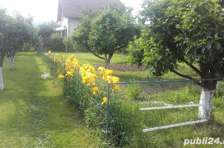 Casă - 5 camere de vanzare GHIMBAV - Brasov anunturi imobiliare Brasov
