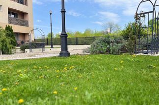 Apartament 2 camere de închiriat Bucuresti - Pipera