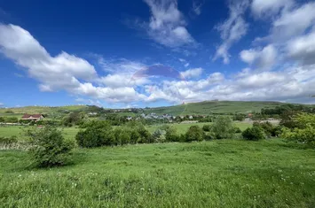 Teren cu PUZ Cluj-Napoca | Casa individuala | Borhanci-Sopor anunturi imobiliare Cluj