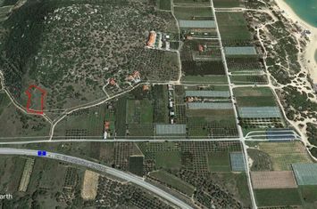 Teren construibil 4.310 mp lângă plaja Ammolofoi anunturi imobiliare Grecia