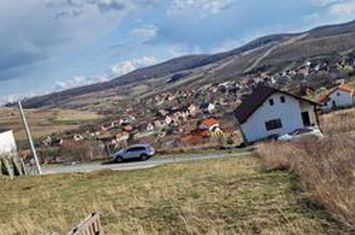 Teren de vanzare HAMBA - Sibiu anunturi imobiliare Sibiu