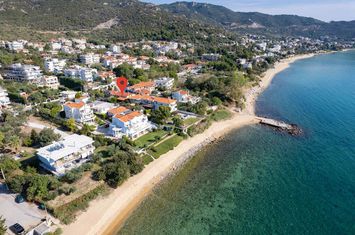 Casă individuală 224 mp în Palio, la 50 m de mare anunturi imobiliare Grecia