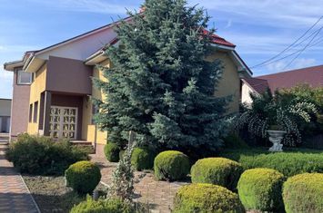 Vilă - 6 camere de vanzare SIRET - Suceava anunturi imobiliare Suceava