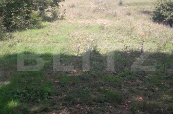 Teren de vanzare ALBA IULIA - Alba anunturi imobiliare Alba