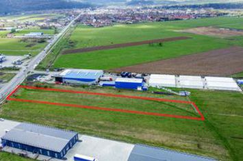 Teren de vanzare TALMACIU - Sibiu anunturi imobiliare Sibiu