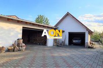 Casa pentru 2 familii, 7 Camere, 2 Garaje, 1500MP Teren anunturi imobiliare Alba