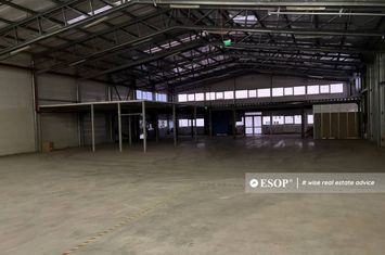 Spațiu industrial de inchiriat STEFANESTII DE JOS - Bucuresti anunturi imobiliare Bucuresti
