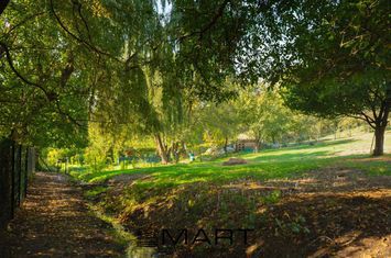 Teren de vanzare CODLEA - Brasov anunturi imobiliare Brasov