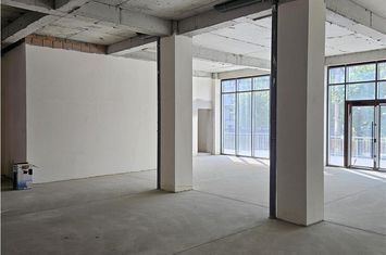 Spațiu comercial de inchiriat GUSTERITA - Sibiu anunturi imobiliare Sibiu