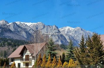 Teren de vânzare în Bușteni (zona Piatra Arsă) anunturi imobiliare Prahova
