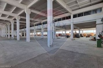 Spațiu industrial 4.4Ha Teren și 15.000mpc - Zona Industrială - Hârlău anunturi imobiliare Iasi