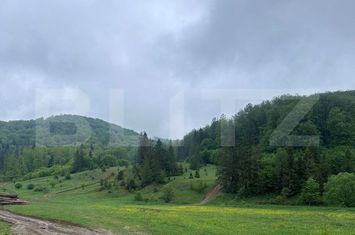 Teren de vanzare MARGINEA - Suceava anunturi imobiliare Suceava