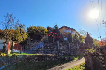Vilă - 7 camere de vanzare CERTEJU DE SUS - Hunedoara anunturi imobiliare Hunedoara
