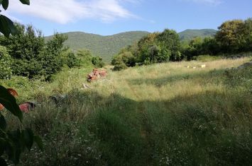 Teren construibil 1082 mp în Elafochori anunturi imobiliare Grecia